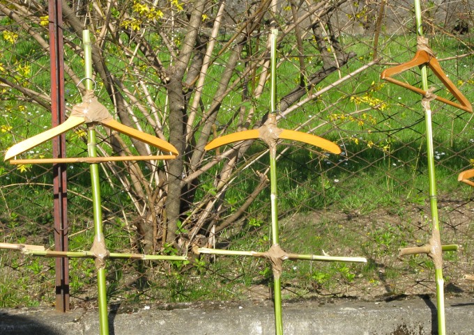 Luisa Rota Sperti - Spaventa i passeri ? (Does it scare the crows ?)