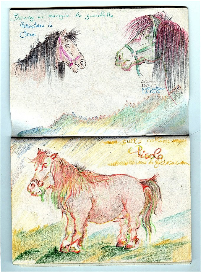 Luisa Rota Sperti - Sentieri e cavallini