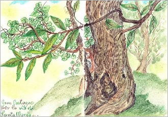 Walking... drawing