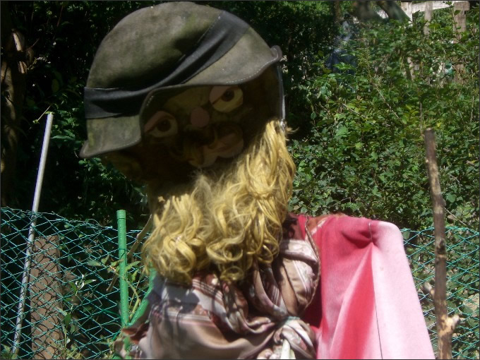 Luisa Rota Sperti - Spaventa i passeri ? Does it scare the crows ?