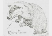 Luisa Rota Sperti - I libretti coi bozzetti / I diari disegnati ...