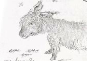 Luisa Rota Sperti - I libretti coi bozzetti / I diari disegnati ...