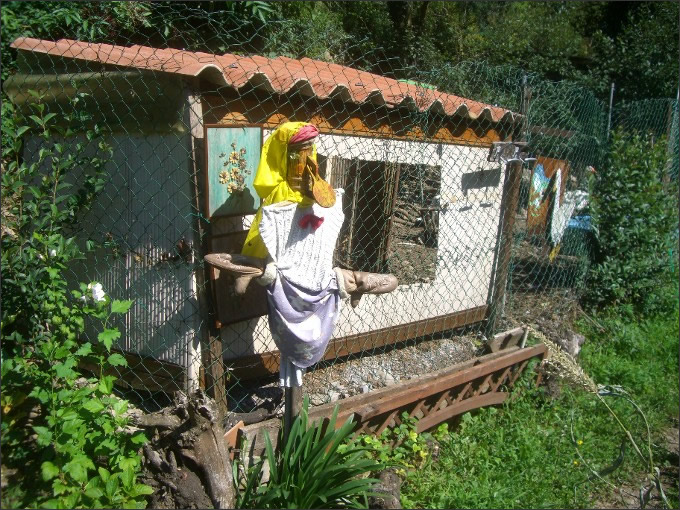 Luisa Rota Sperti - Spaventa i passeri ?