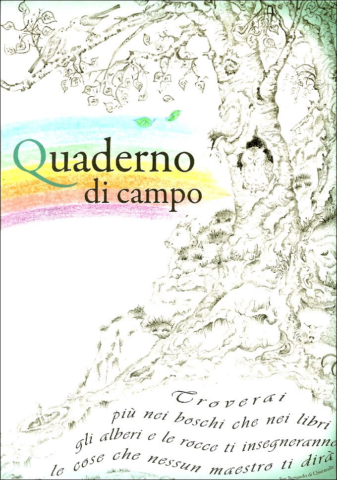 Luisa Rota Sperti - Quaderno di campo