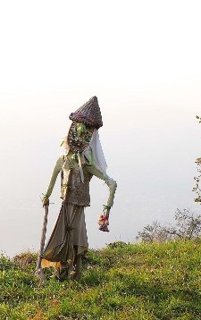 Luisa Rota Sperti