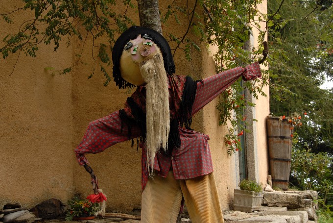 Luisa Rota Sperti - Spaventa i passeri ? Does it scare the crows ?