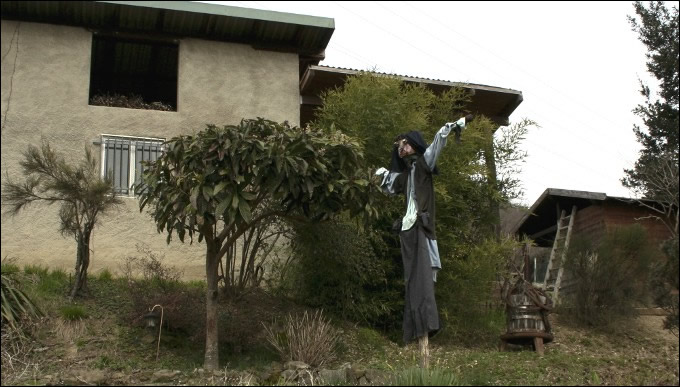 Luisa Rota Sperti - Spaventa i passeri ? Does it scare the crows ?