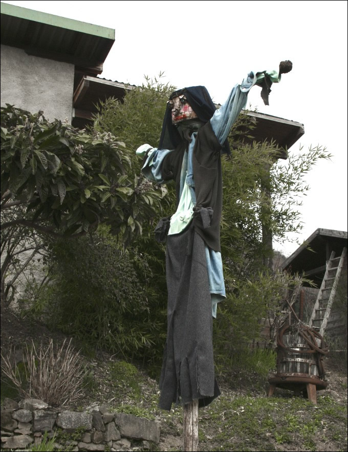 Luisa Rota Sperti - Spaventa i passeri ? Does it scare the crows ?