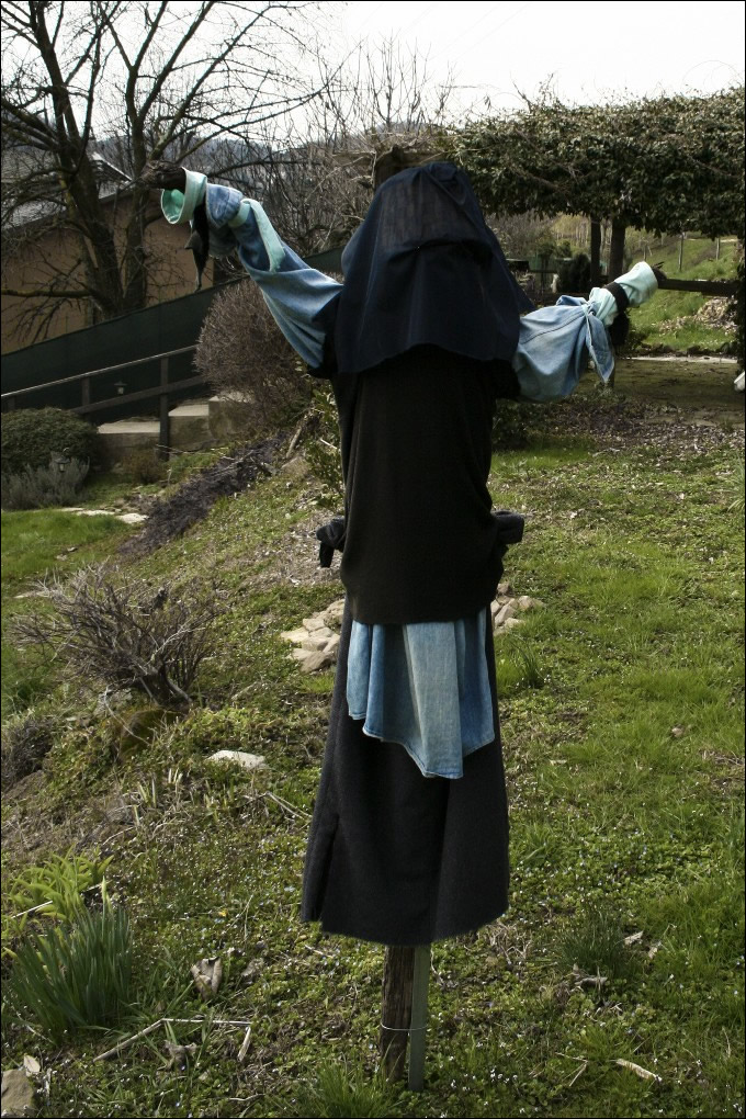 Luisa Rota Sperti - Spaventa i passeri ? Does it scare the crows ?