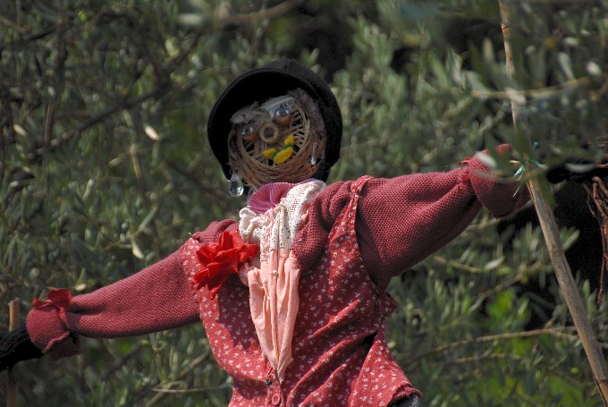 Luisa Rota Sperti - Spaventa i passeri ? Does it scare the crows ?