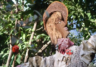 Luisa Rota Sperti - Spaventa i passeri ?